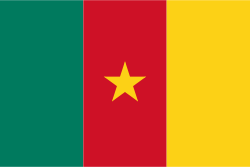 Cameroon news headlines flag