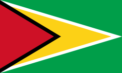 Guyana news headlines flag