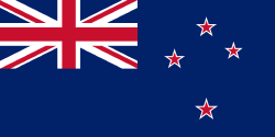 New Zealand news headlines flag