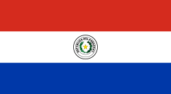 Paraguay news headlines flag