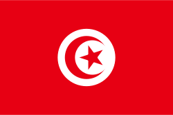 Tunisia news headlines flag